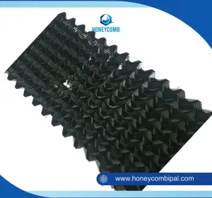 Honeycomb Media Sarang Tawon